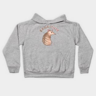 Bandicute Kids Hoodie